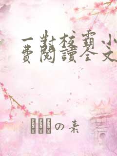 一对校霸小说免费阅读全文无弹窗