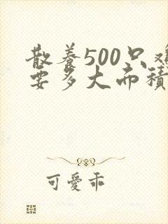 散养500只鸡要多大面积