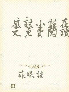 应该小说在线全文免费阅读