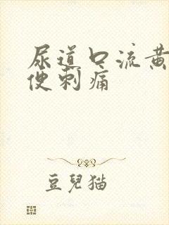 尿道口流黄脓小便刺痛