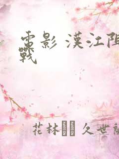 电影 汉江阻击战
