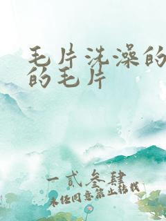 毛片洗澡的洗澡的毛片