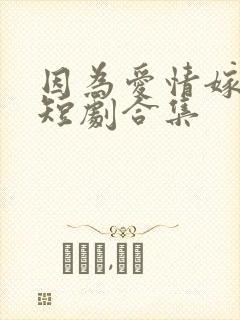 因为爱情嫁错门短剧合集