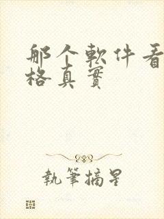 那个软件看车价格真实