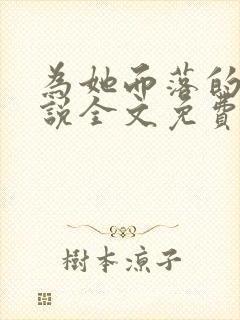 为她而落的星小说全文免费阅读