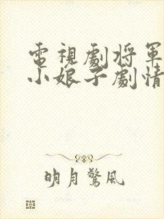 电视剧将军家的小娘子剧情介绍