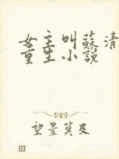 女主叫苏清婉的重生小说