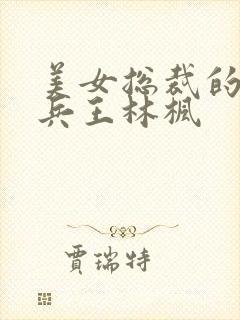 美女总裁的贴身兵王林枫
