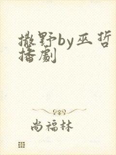 撒野by巫哲广播剧