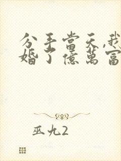 分手当天,我闪婚了亿万富翁