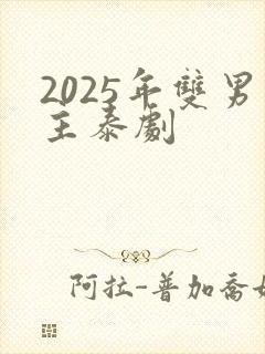 2025年双男主泰剧