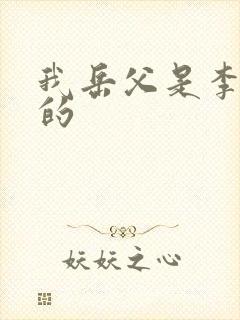 我岳父是李世民的