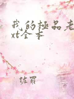 我的极品老婆txt全本