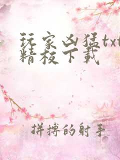 玩家凶猛txt精校下载