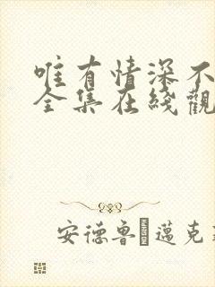 唯有情深不可负全集在线观看
