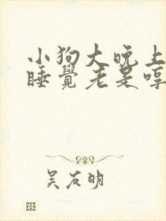 小狗大晚上的不睡觉老是哼哼叫