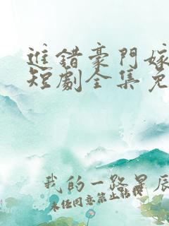 进错豪门嫁对郎短剧全集免费