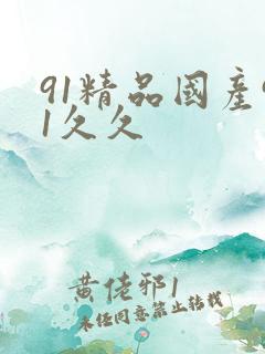 91精品国产91久久
