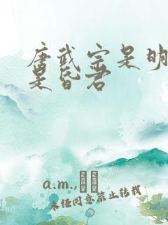 唐武宗是明君还是昏君
