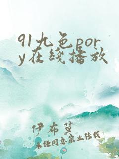 91九色pory在线播放
