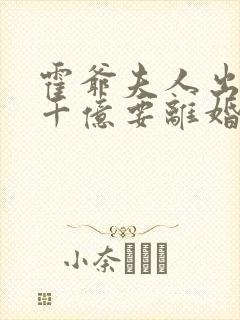 霍爷夫人出价一千亿要离婚的小说免费阅读