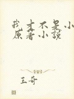 我才不是小可怜原著小说