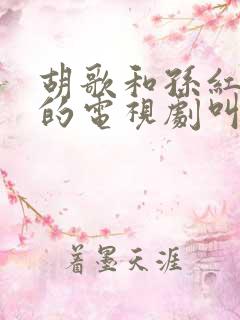 胡歌和孙红雷演的电视剧叫什么