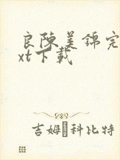 良陈美锦完整txt下载