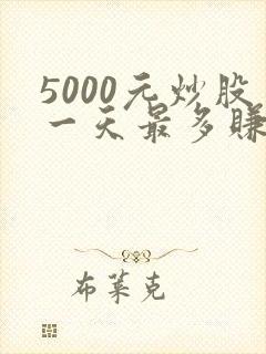 5000元炒股一天最多赚多少