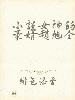 小说女神的上门豪婿赵旭全文阅读