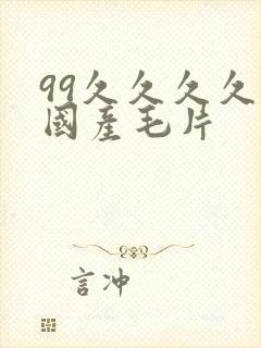 99久久久久久国产毛片