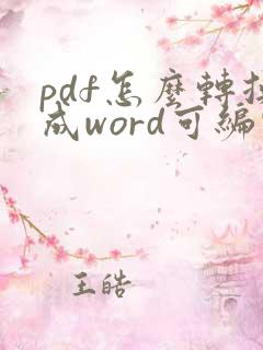 pdf怎么转换成word可编辑文字