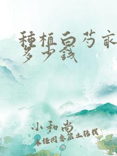 种植白芍亩投入多少钱