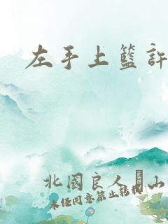 左手上篮许星悠