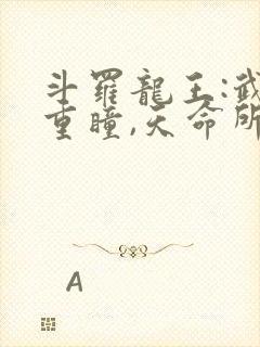 斗罗龙王:武魂重瞳,天命所归