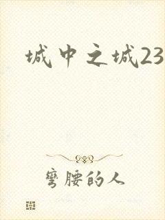 城中之城23集