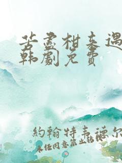 苦尽柑来遇见你韩剧免费