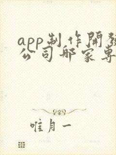 app制作开发公司哪家专业