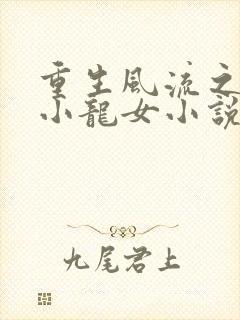 重生风流之猎艳小龙女小说