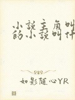 小说主角叫楚枫的小说叫什么名字