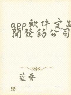 app软件定制开发的公司哪家好