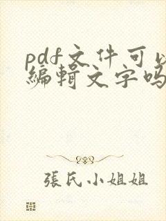 pdf文件可以编辑文字吗