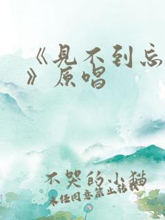 《见不到忘不了》原唱