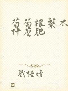 葡萄根系不好施什么肥