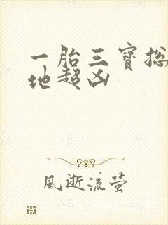 一胎三宝总裁爹地超凶