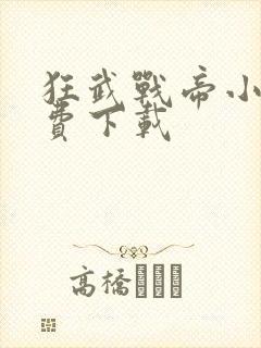 狂武战帝小说免费下载