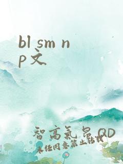 bl sm np文