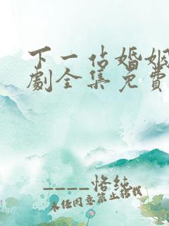 下一站婚姻电视剧全集免费观看高清