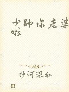 少帅你老婆又跑啦