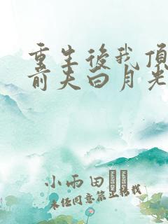 重生后我顶替了前夫白月光原著作者
